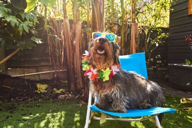 Dicas de como aproveitar o seu verão com saúde