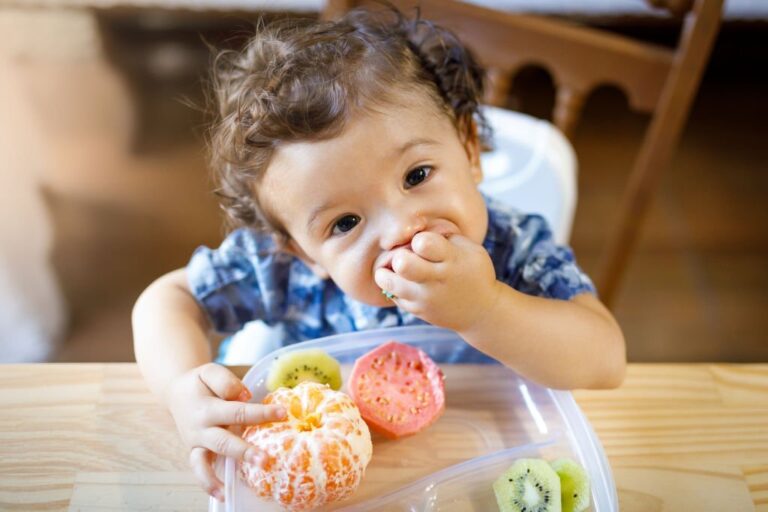 Alimentação da criança: do nascimento até os 2 anos