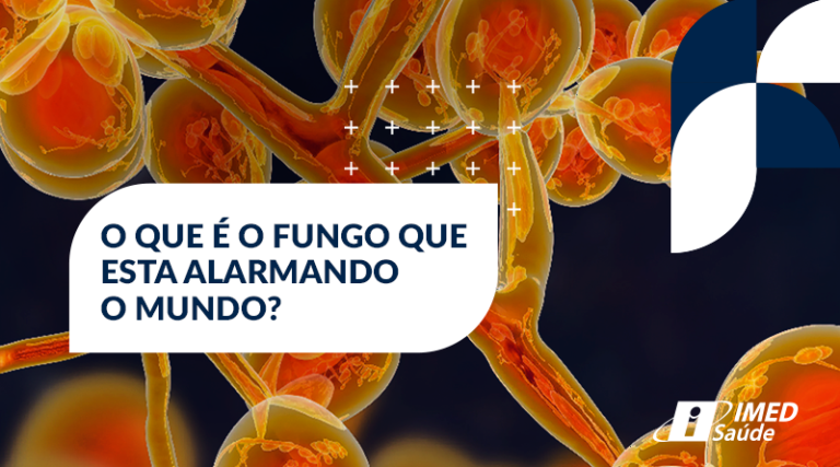 O que é o fungo que esta alarmando o mundo