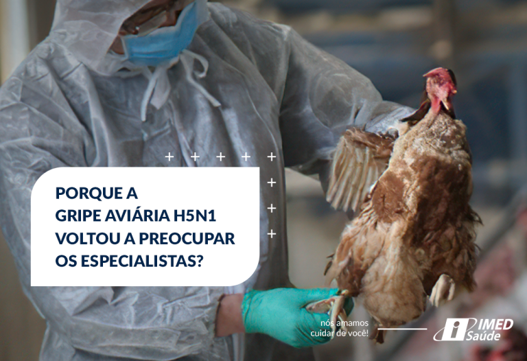 Porque a gripe aviária h5n1 voltou a preocupar os especialistas?