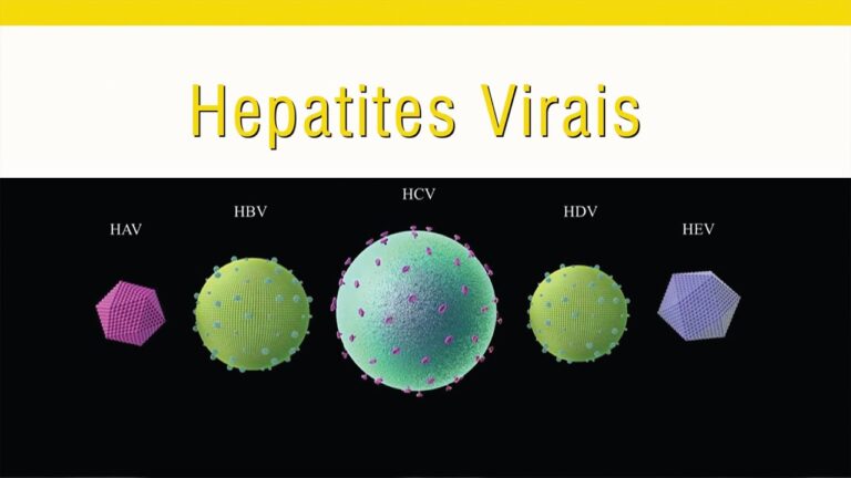 Hepatites Virais: Tudo o que você precisa saber